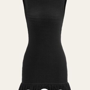 Commense NWT Sleeveless Fringe Hem Sweater Dress (small)